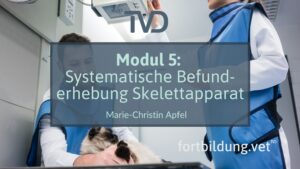 24120_thumb_neu