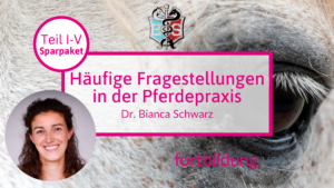 Häufige Fragestellungen in der Pferdepraxis