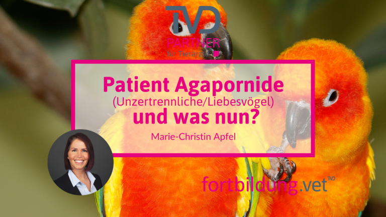 fortbildung.vet Titelbild
