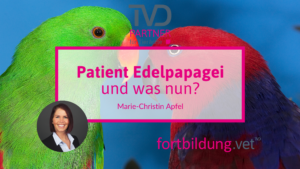24132_patient-edelpapagei_ta