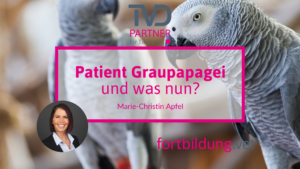 24133_patient-graupapagei_ta