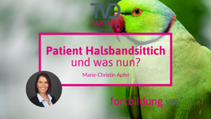 24134_patient-halsbandsittich_ta