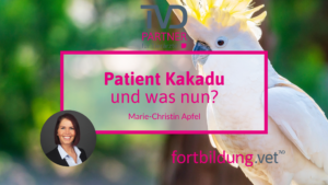 24135_patient-kakadu_ta
