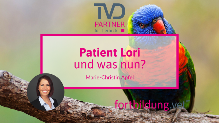 fortbildung.vet Titelbild