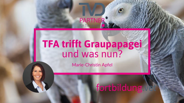 fortbildung.vet Titelbild