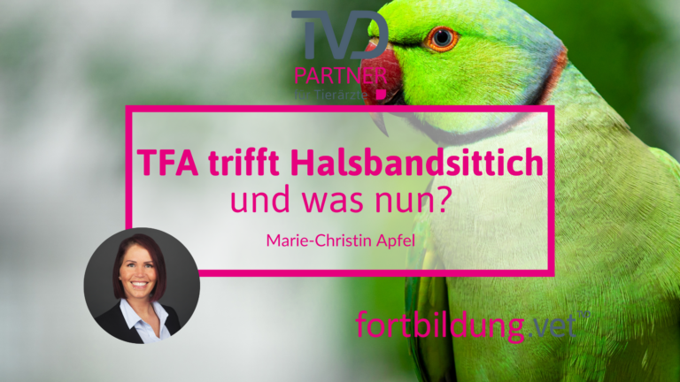 fortbildung.vet Titelbild