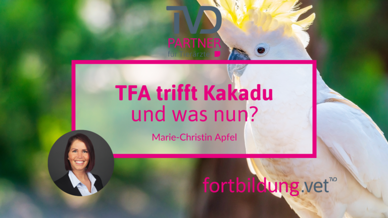 fortbildung.vet Titelbild