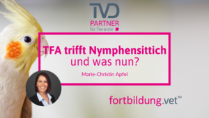24147_patient-nymphensittich_tfa