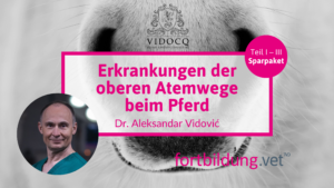 Erkrankungen der oberen Atemwege beim Pferd