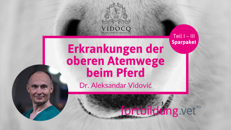 fortbildung.vet Titelbild
