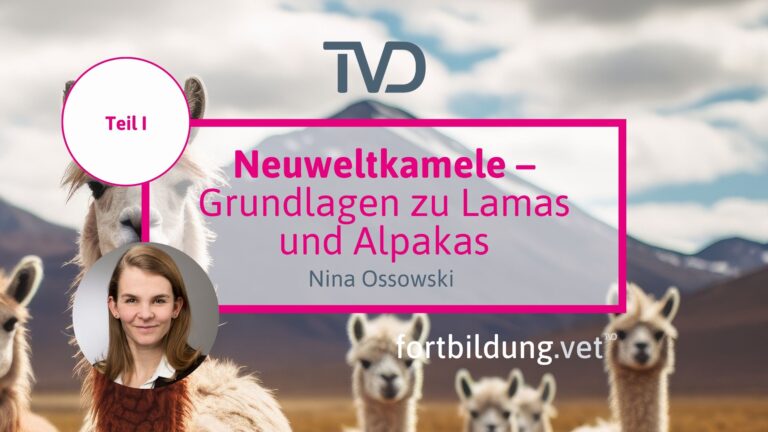 fortbildung.vet Titelbild
