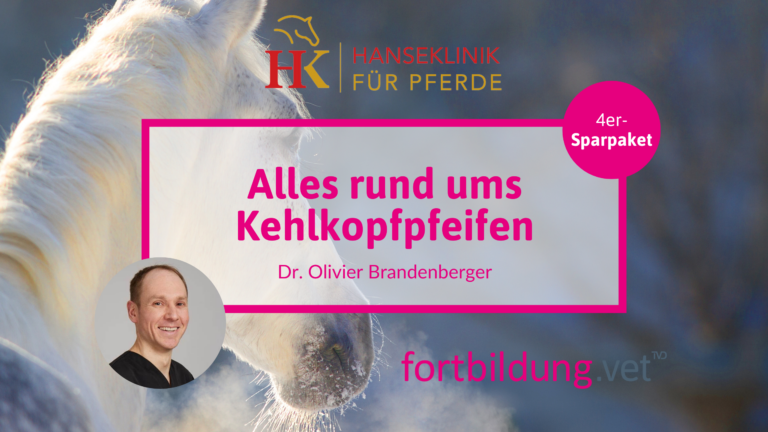 fortbildung.vet Titelbild