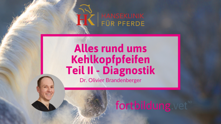 fortbildung.vet Titelbild
