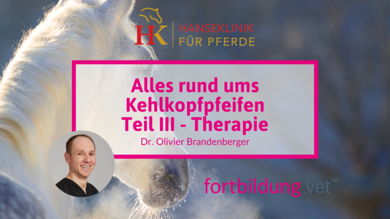 fortbildung.vet Titelbild