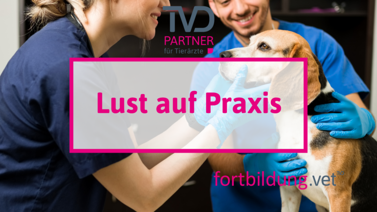 fortbildung.vet Titelbild