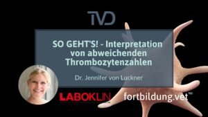 24178_thumb_neu
