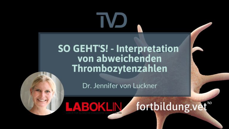 fortbildung.vet Titelbild