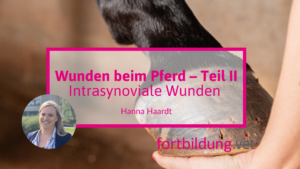 24189_wunden_teil_2_thumb