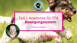 24218 Teil_1_Anatomie_für_TFAs_Bewegungssystem_thumb