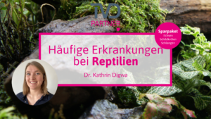 Häufige Erkrankungen bei Reptilien