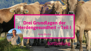 24215_herdengesundheit_thumb_(4)