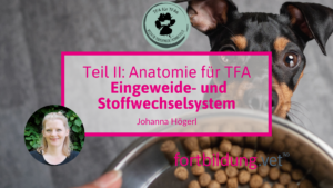 24219_Anatomie_für_TFAs_Eingeweide-_&_Stoffwechselsystem_thumb