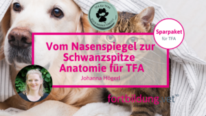 Anatomie für TFAs