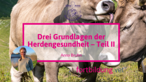24215_herdengesundheit_thumb_(5)