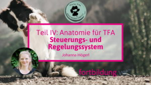 24221_Teil_4__Anatomie_für_TFAs_Steuerungs-_&_Regelungssystem_thumb