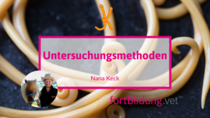 23108keckneu
