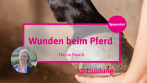 Wunden beim Pferd - Sparpaket