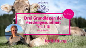 Drei Grundlagen der Herdengesundheit