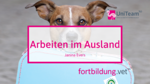 Arbeiten im Ausland