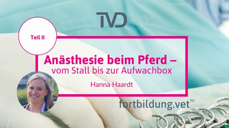fortbildung.vet Titelbild