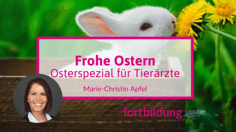 fortbildung.vet Titelbild