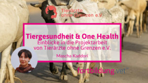Tiergesundheit und One Health
