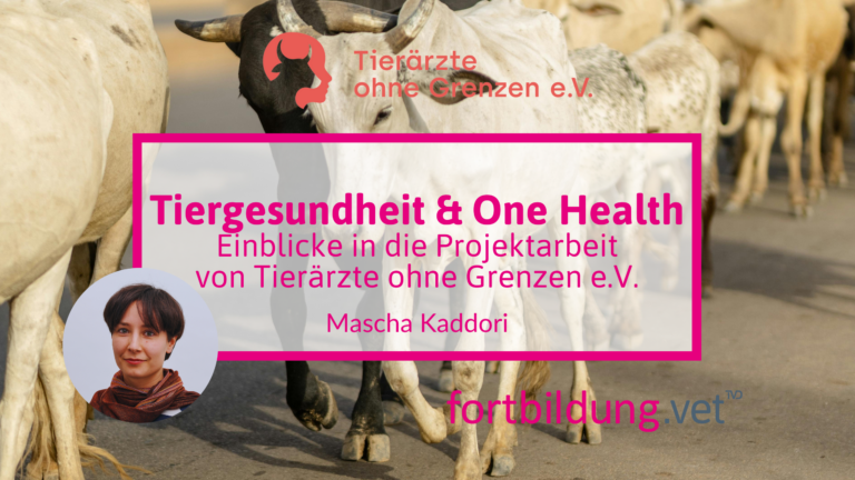 fortbildung.vet Titelbild