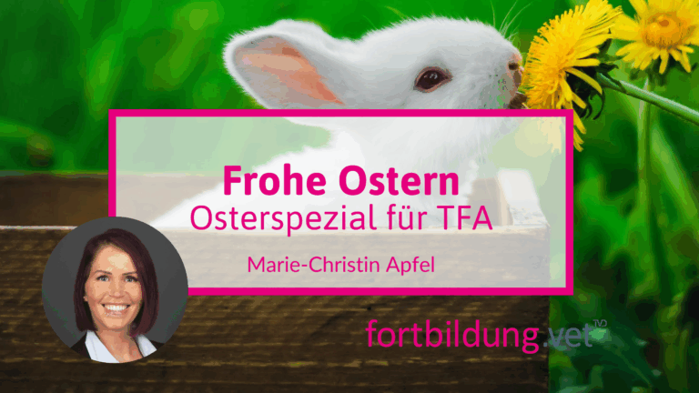 fortbildung.vet Titelbild
