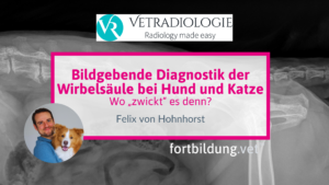 Bildgebende Diagnostik der Wirbelsäule bei Hund und Katze