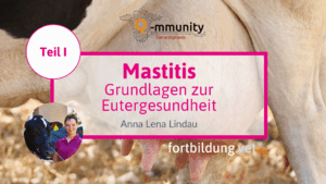 Mastitis Teil I