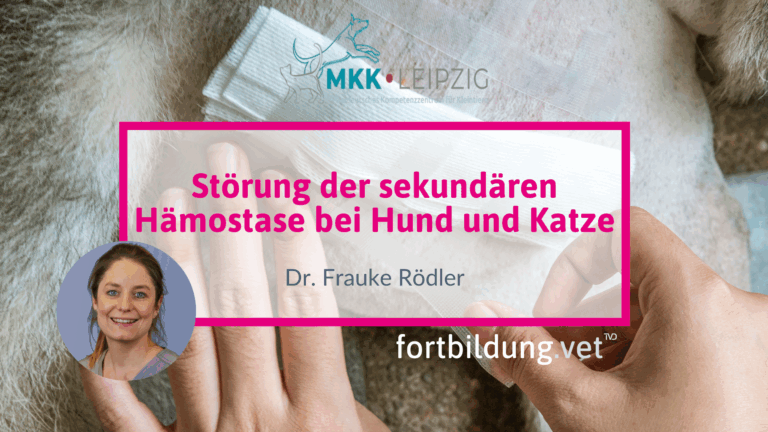 fortbildung.vet Titelbild