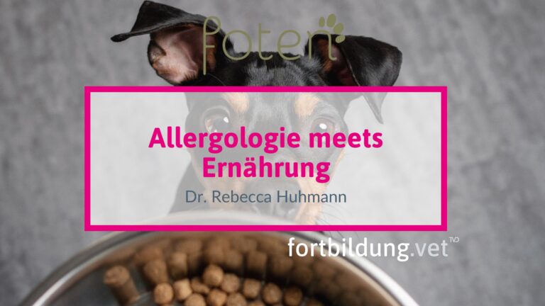 fortbildung.vet Titelbild