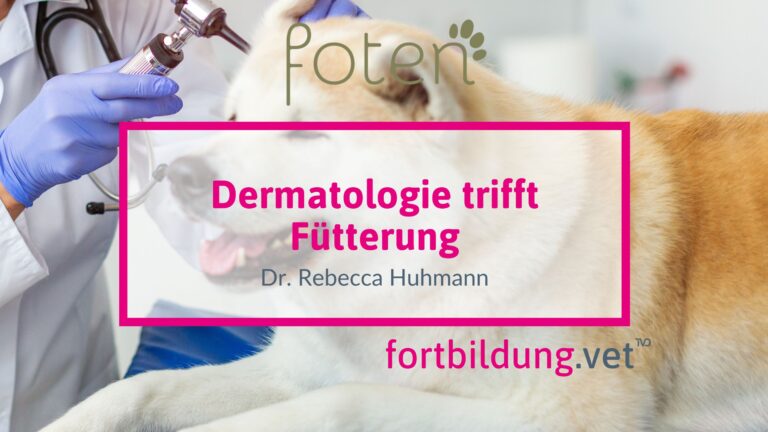 fortbildung.vet Titelbild