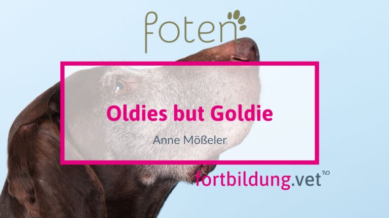 fortbildung.vet Titelbild