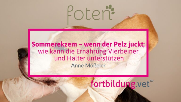 fortbildung.vet Titelbild
