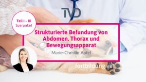 Strukturierte Befundung von Abdomen, Thorax und Bewegungsapparat
