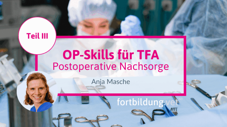 fortbildung.vet Titelbild