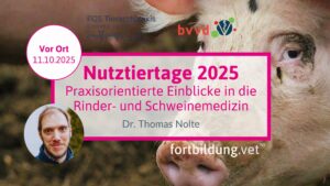 bvvd & TVD Nutztiertage 2025: Praxisorientierte Einblicke in die Rinder- und Schweinemedizin