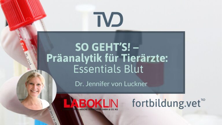 fortbildung.vet Titelbild
