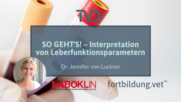 fortbildung.vet Titelbild